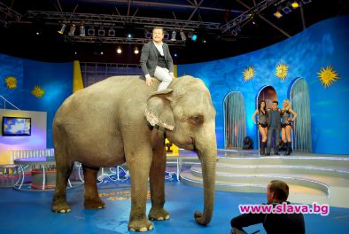 Слон в Господари на ефира