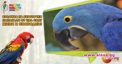 Най-голямата изложба на екзотични папагали в Източна Европа гостува в София