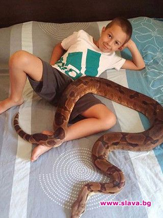 Емилия пусна змия при сина си