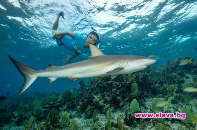 Нина Добрев се гмурка сред акули на Бахамите