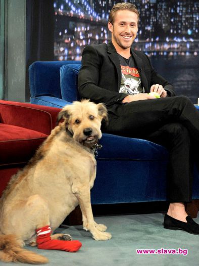 Райън Гослинг работи с кучето си