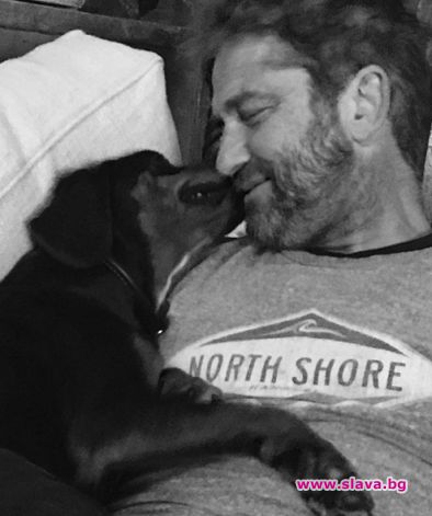 Ирландският актьор Джерард Бътлър осинови българско бездомно кученце. Той се