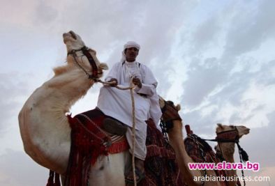 Истински скандал се е разразил на традиционния фестивал на камилите