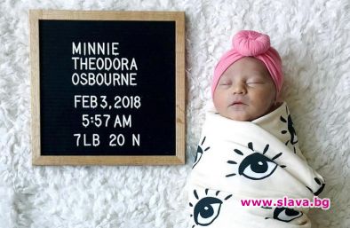 Запознайте се с Мини Тя е най новият член в женския