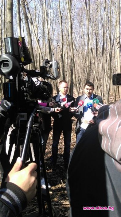 ВМРО: Незаконната сеч в градските паркове да стане криминално деяние