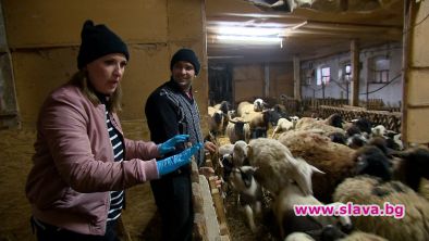 Йоана Захариева - Йоко пее пред 300 овце на село