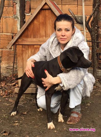 Сървайвърката Меги Дерм, отдадена на бездомните животни, се разменя със