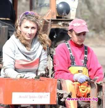 Стефани Попова вляво седи на трактора който бере ягодите за