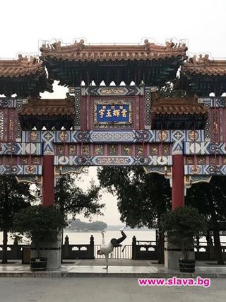  Гришо се радва на красотата на Пекин