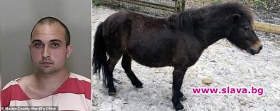 21-годишен мъж от Флорида бе арестуван за секс с пони