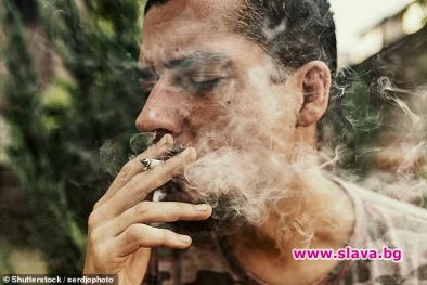 Мъжете трябва да спрат да пушат канабис поне за 6