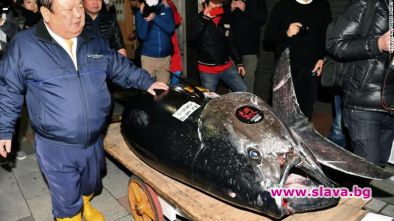 Самопровъзгласилият се японски Крал на рибата тон и собственикът на