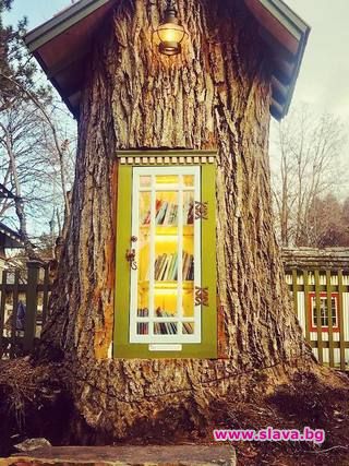Жена превърна старо дърво в библиотека