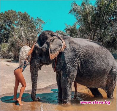 Фолк певицата Андреа се гушка с цял слон в Тайланд