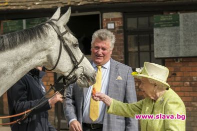 Британската кралица отново демонстрира любовта си към състезателните коне, като