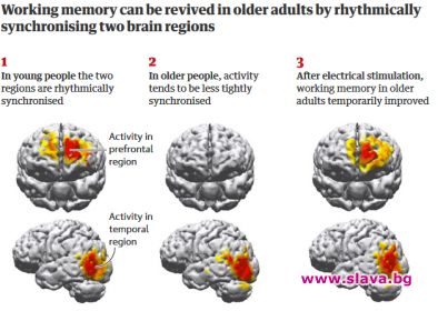 Упадъкът в паметта в резултат на стареенето може временно да