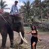 Фенове скочиха срещу Ким Кардашиян заради снимки със слон