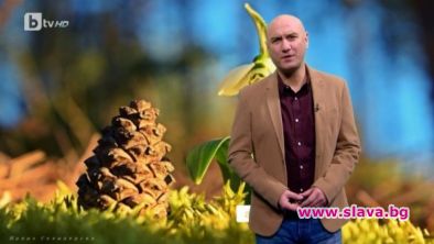 Емблематичният синоптик Емил Чолаков напусна БТВ не заради конфликт с