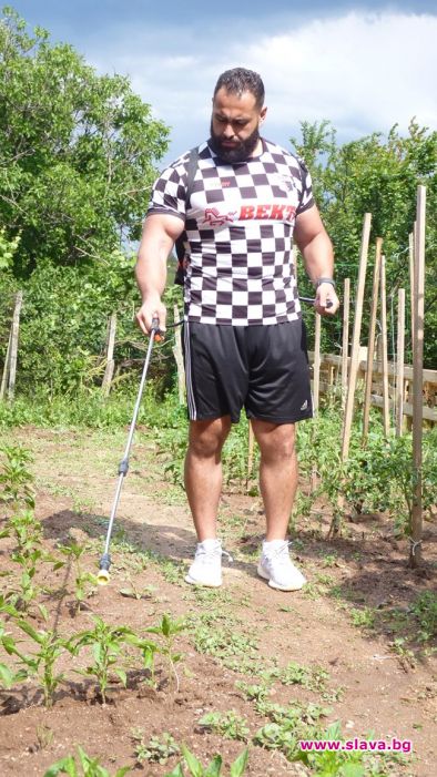 Единственият български кечист в световната федерация Александър Русев всяка седмица
