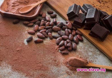 От най-хубавия сорт какао Криоло почти не се прави шоколад