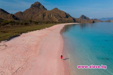 Розовият плаж Pink Beach е един от най красивите в светаСнимки