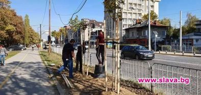 Започна озеленяването край транспортния възел до новата метростанция Красно село