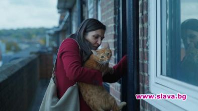 Премиера на новия български филм Котка в стената е сред