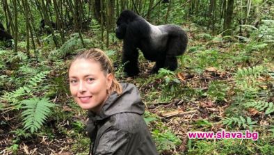 Мария Шарапова на среща с горили