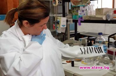 Учени от Испания и Италия са разработили нов тип тъкан