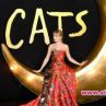 Световната премиера на Котките събра звездите