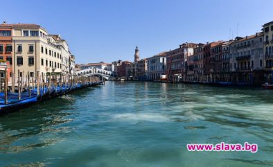 За първи път от 60 г. делфин се появи във Венецианските канали
