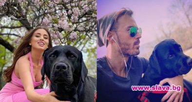 Саня Борисова взе кучето на бившия си съпруг Ники Илиев