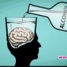 Помага ли пиенето мозъкът да работи по-добре и отслабва ли се чрез него: Какво да правим с времето в