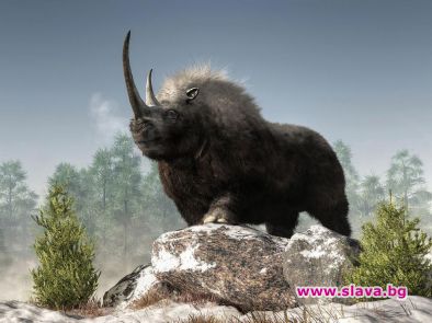 Нов вид гигантски древен носорог един от най големите бозайници обитавали