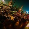 Магичните елхи на таланта грейнаха в София