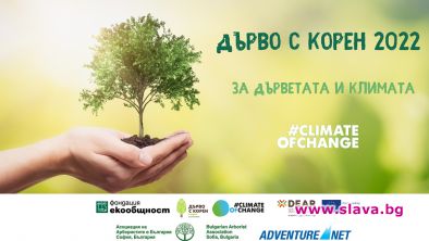 Дърво с корен 2022 търси най-интересните дървета в България