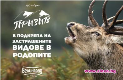 Ембиънт албумът Призив в подкрепа на застрашените видове в Родопите
