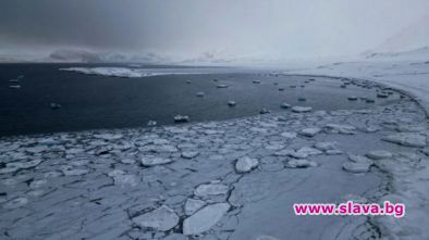 Арктика може да остане без морски лед през лятото до 2030 г.: Проучване