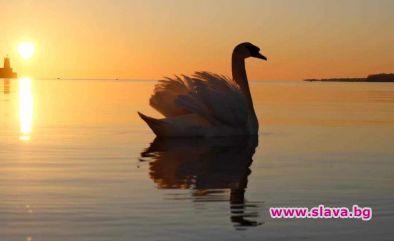 Лебедово езеро е морето при Приморско: Фото на деняСнимка: Здравко