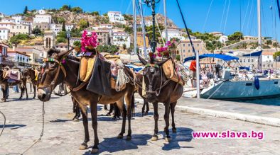 Хидра е гръцки остров в Егейско море където превозните средства