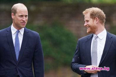 Принц Уилям не планира да се срещне с принц Хари
