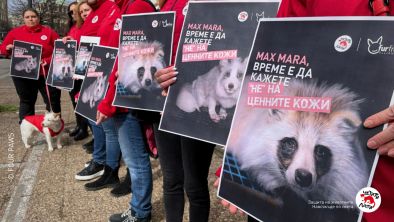 Организации за защита на животните призовават Max Mara да се откаже от употребата на ценни кожи