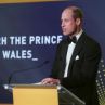 Принцовете Уилям и Хари възхваляват наследството на Даяна на събитие в Лондон