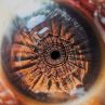 Човешкото око - отворената врата към душата: Фото на деня