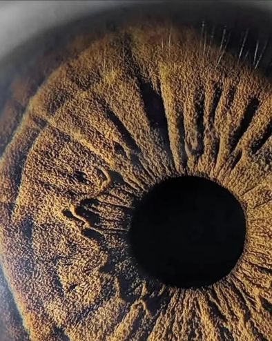 Човешкото око е вълшебен друг свят Фото на деня
Снимка Калоян