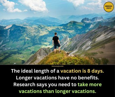 Идеалната дължина на една ваканция е 8 По дългите ваканции