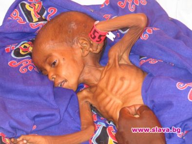 Латинска Америка ще се бори с глада  