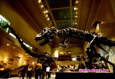 Нова теория за изчезването на динозаврите