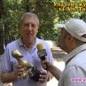 Томов със Златен скункс