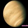 Живот от Венера на Земята?